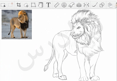 آموزش نرم افزار SketchBook Pro (اسکچ بوک) برای طراحی آناتومی حیوانات