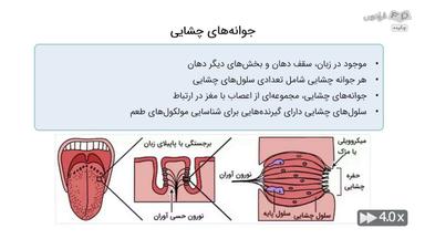 چکیده