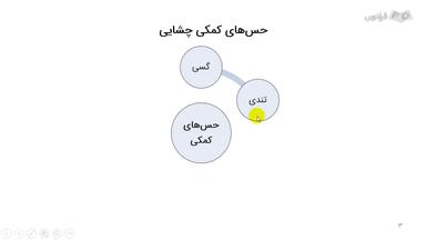 انواع طعم‌ها