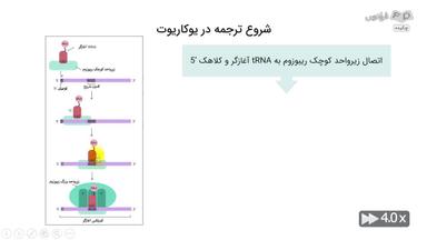 چکیده