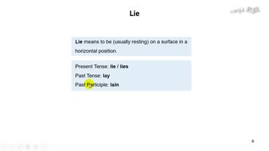 درباره Lie