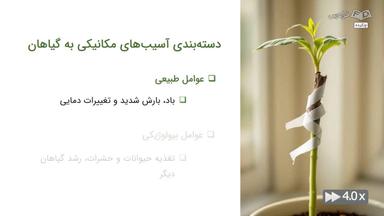 چکیده
