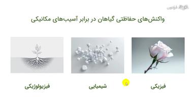 واکنش‌های حفاظتی گیاهان در برابر آسیب‌های مکانیکی