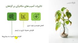 تاثیرات آسیب‌های مکانیکی بر گیاهان و کاربردهای علمی و کشاورزی
