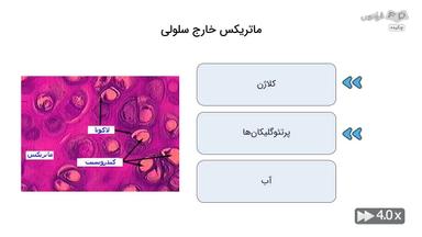 چکیده