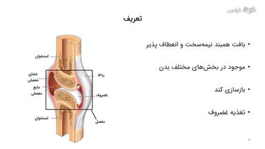 تعریف و ساختار غضروف