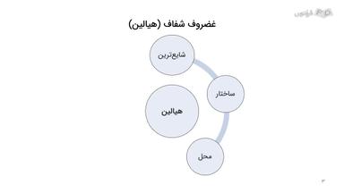 انواع غضروف