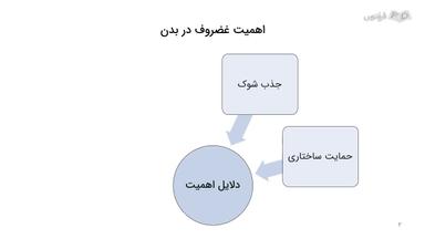 اهمیت و مشکلات مرتبط غضروف