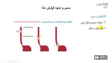 چکیده