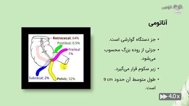 چکیده