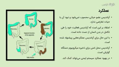 عملکرد و آشنایی با بیماری آپاندیسیت