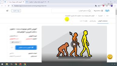 جمع‌بندی و ادامه یادگیری
