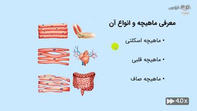 چکیده