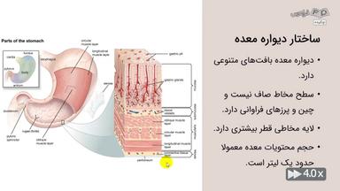 چکیده