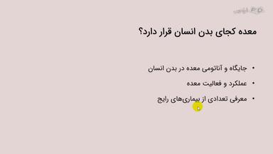 آناتومی