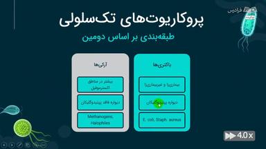 چکیده
