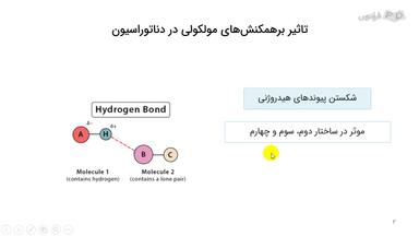 مکانیسم مولکولی دناتوراسیون، انواع و پیامدها