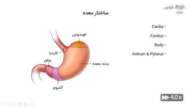 چکیده
