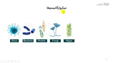 نقش میکروب‌ها در چرخه‌‌های زیستی و محیط‌ زیست