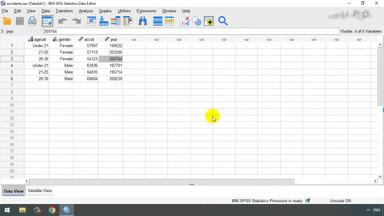 مزایای استفاده از SPSS