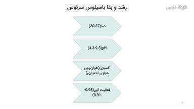 رشد و بقا باسیلوس سرئوس
