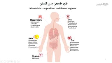 نقش فلور طبیعی بدن