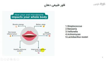 فلور طبیعی دهان