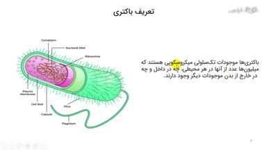 طبقه‌بندی باکتری‌ها بر اساس نیاز به اکسیژن