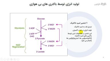مکانیسم تولید انرژی توسط باکتری‌های بی‌هوازی