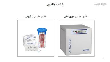 کشت باکتری
