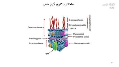 چکیده