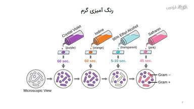 رنگ‌آمیزی گرم