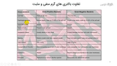 تفاوت باکتری‌های گرم مثبت و منفی