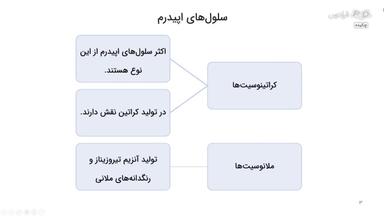 چکیده