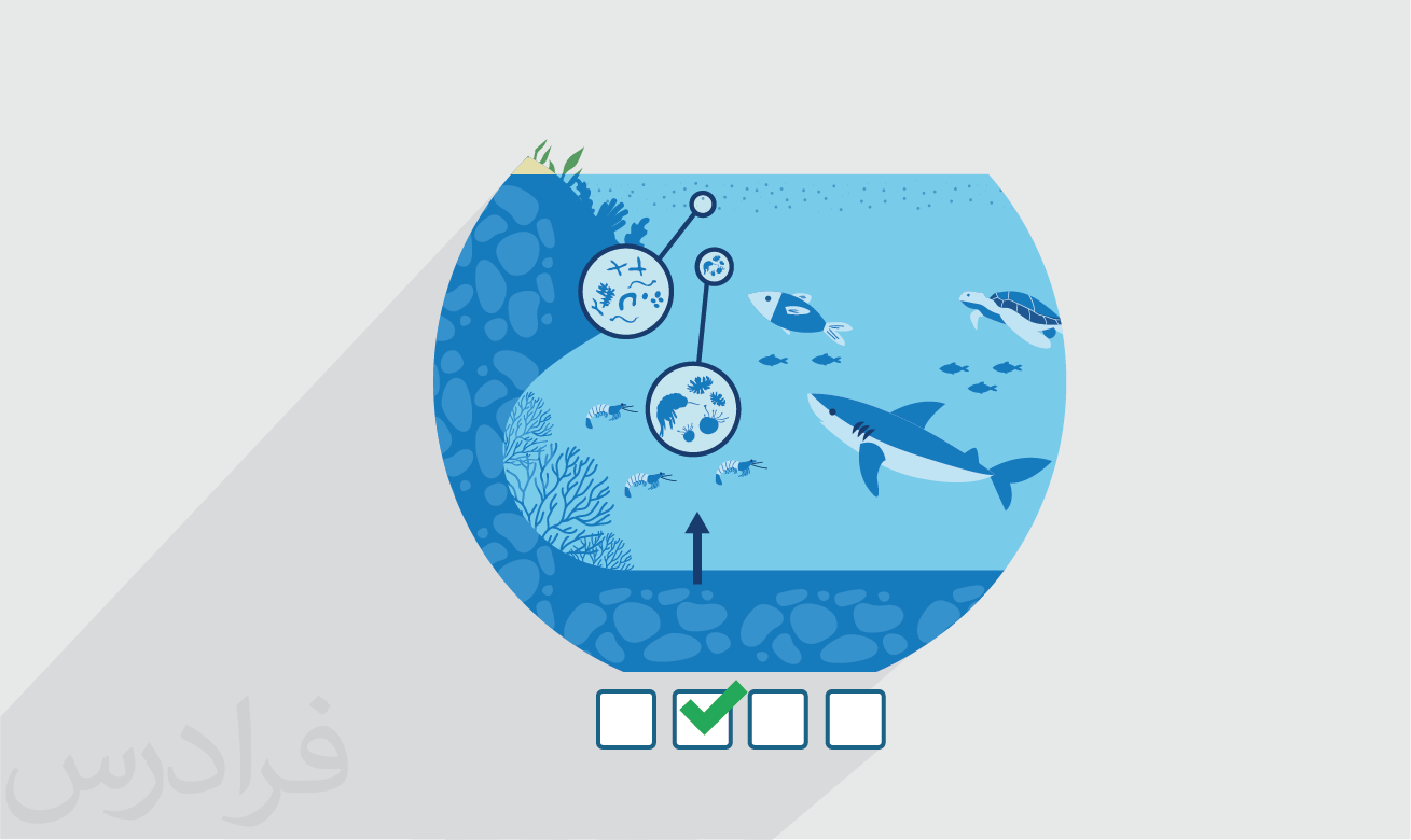 سوالات و پاسخنامه کنکور کارشناسی ارشد اقیانوس شناسی فیزیکی ۱۴۰۲ + دانلود رایگان