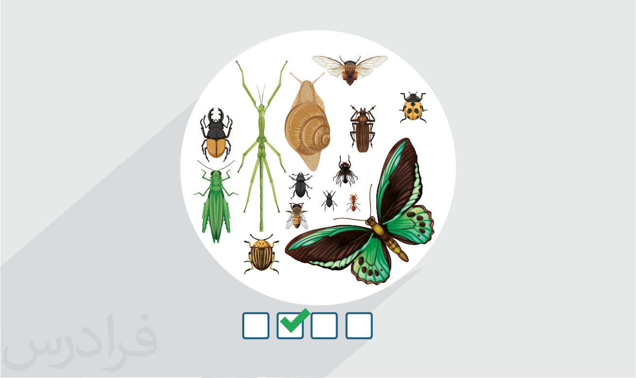 سوالات و پاسخنامه کنکور کارشناسی ارشد حشره شناسی کشاورزی ۱۴۰۲ + دانلود رایگان