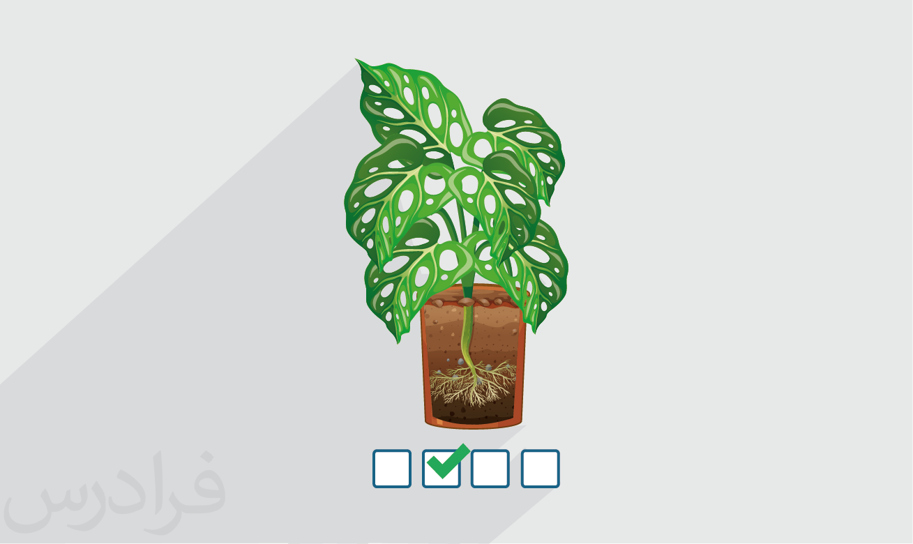 سوالات و پاسخنامه کنکور کارشناسی ارشد بیماری شناسی گیاهی ۱۴۰۲ + دانلود رایگان