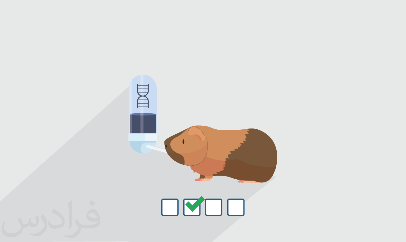 سوالات و پاسخنامه کنکور کارشناسی ارشد بافت شناسی دامپزشکی ۱۴۰۲ + دانلود رایگان