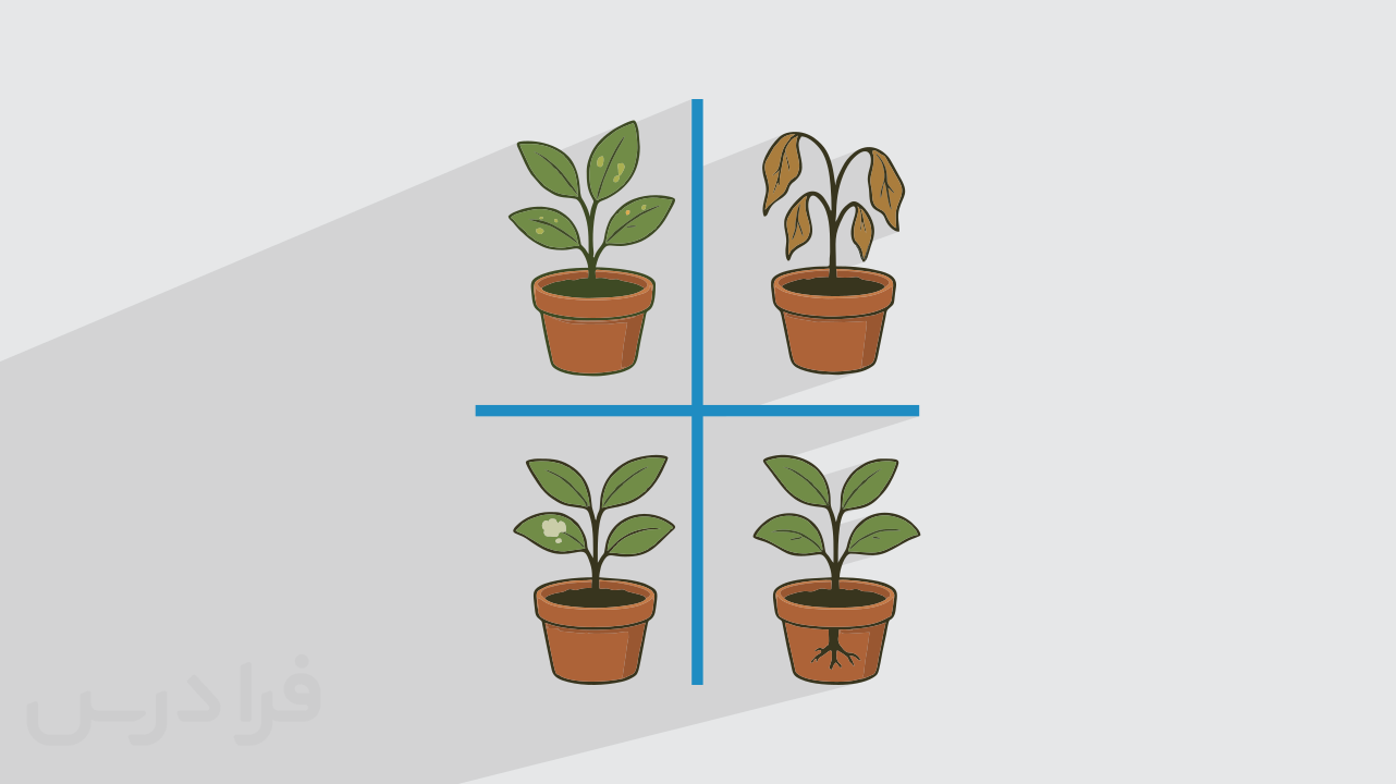 راهنمای تشخیص بیماری‌های شایع در گیاهان زینتی + علائم و درمان‌ها