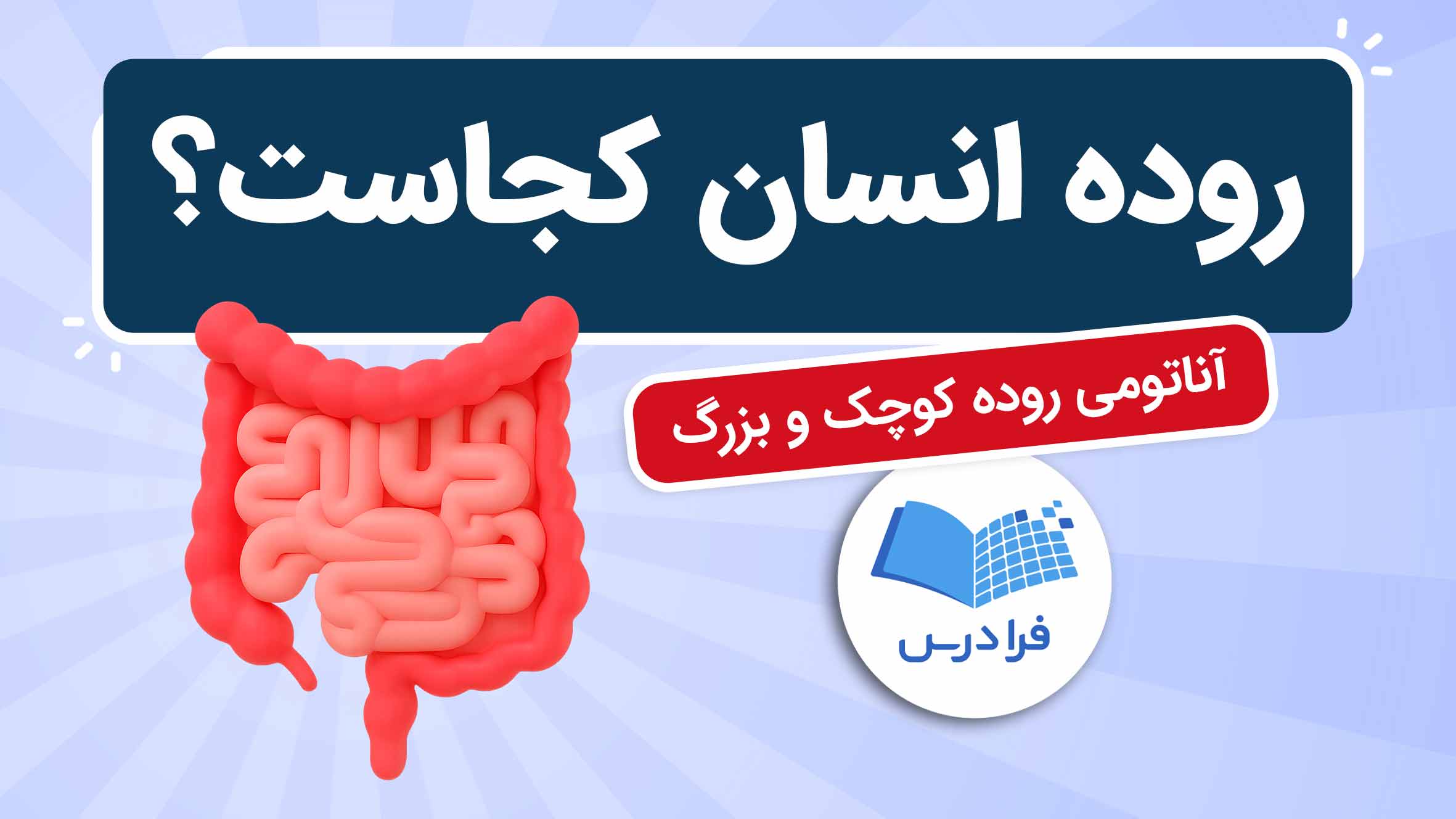 فیلم آموزش آناتومی روده کوچک و بزرگ