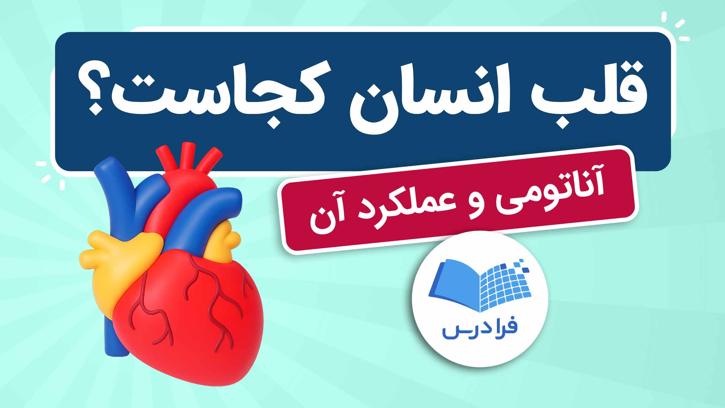 فیلم آموزش آناتومی و عملکرد قلب انسان در فرادرس