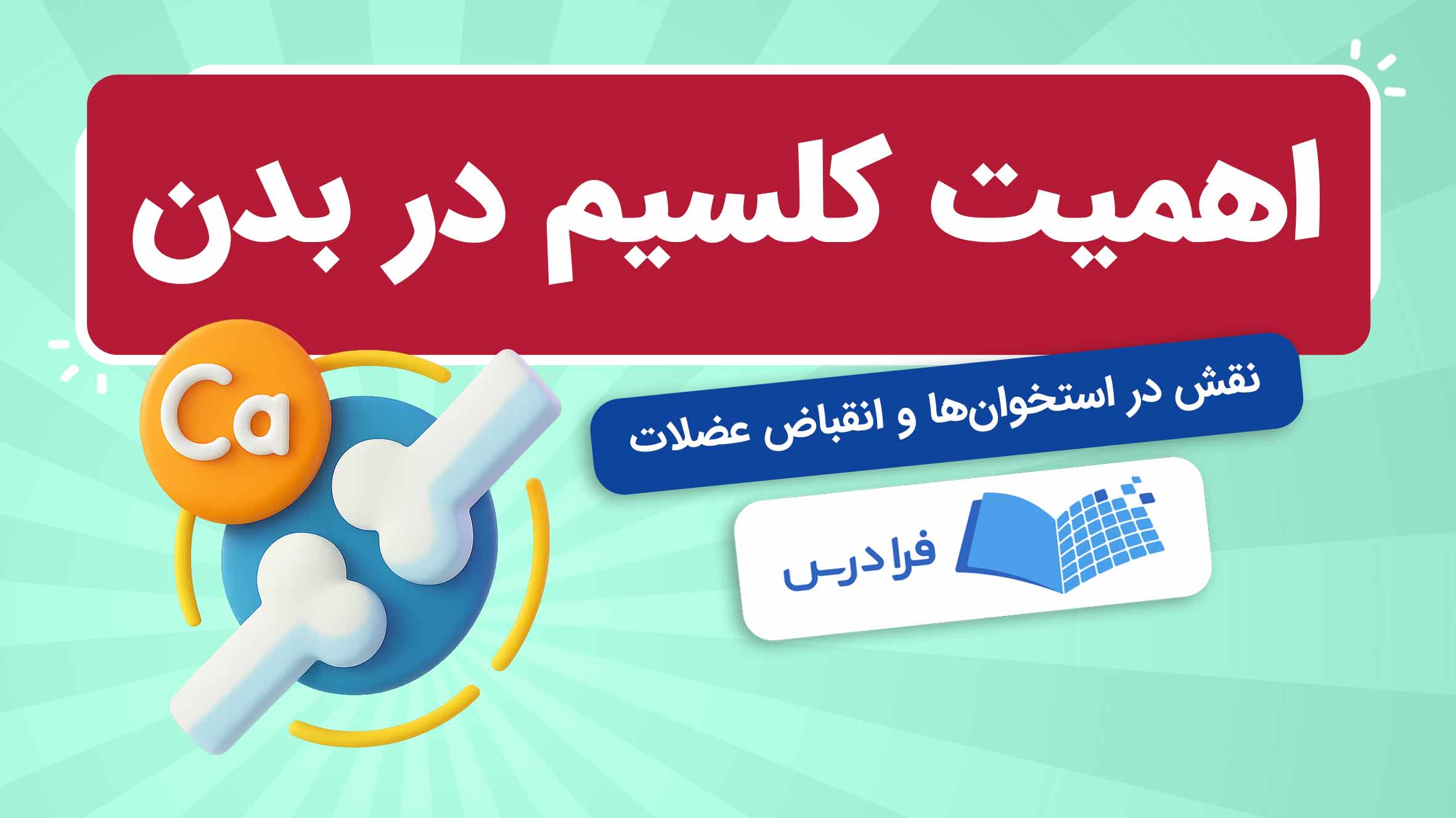 فیلم آموزش اهمیت کلسیم در بدن در فرادرس