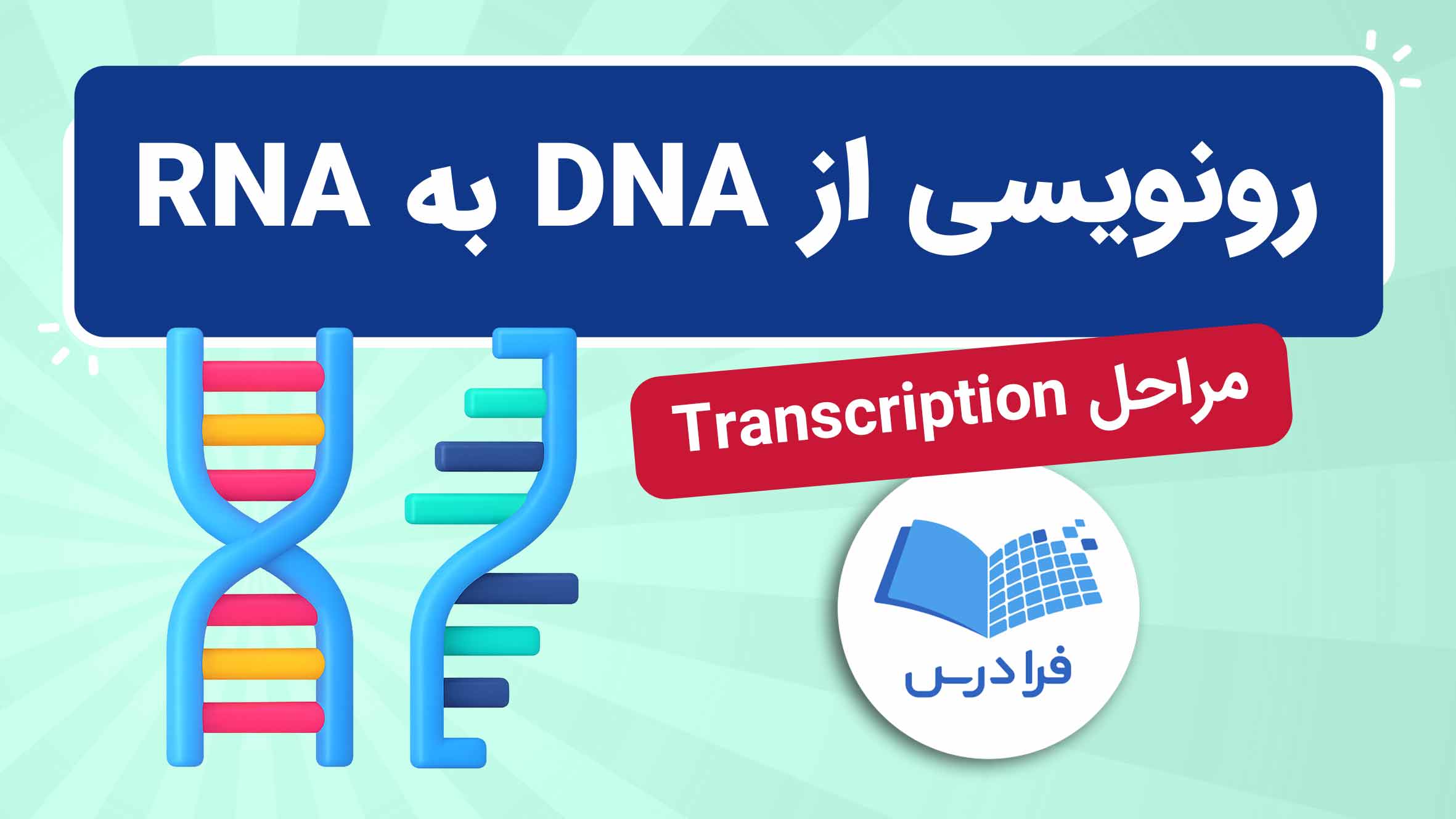 فیلم آموزش فرایند رونویسی از DNA به RNA