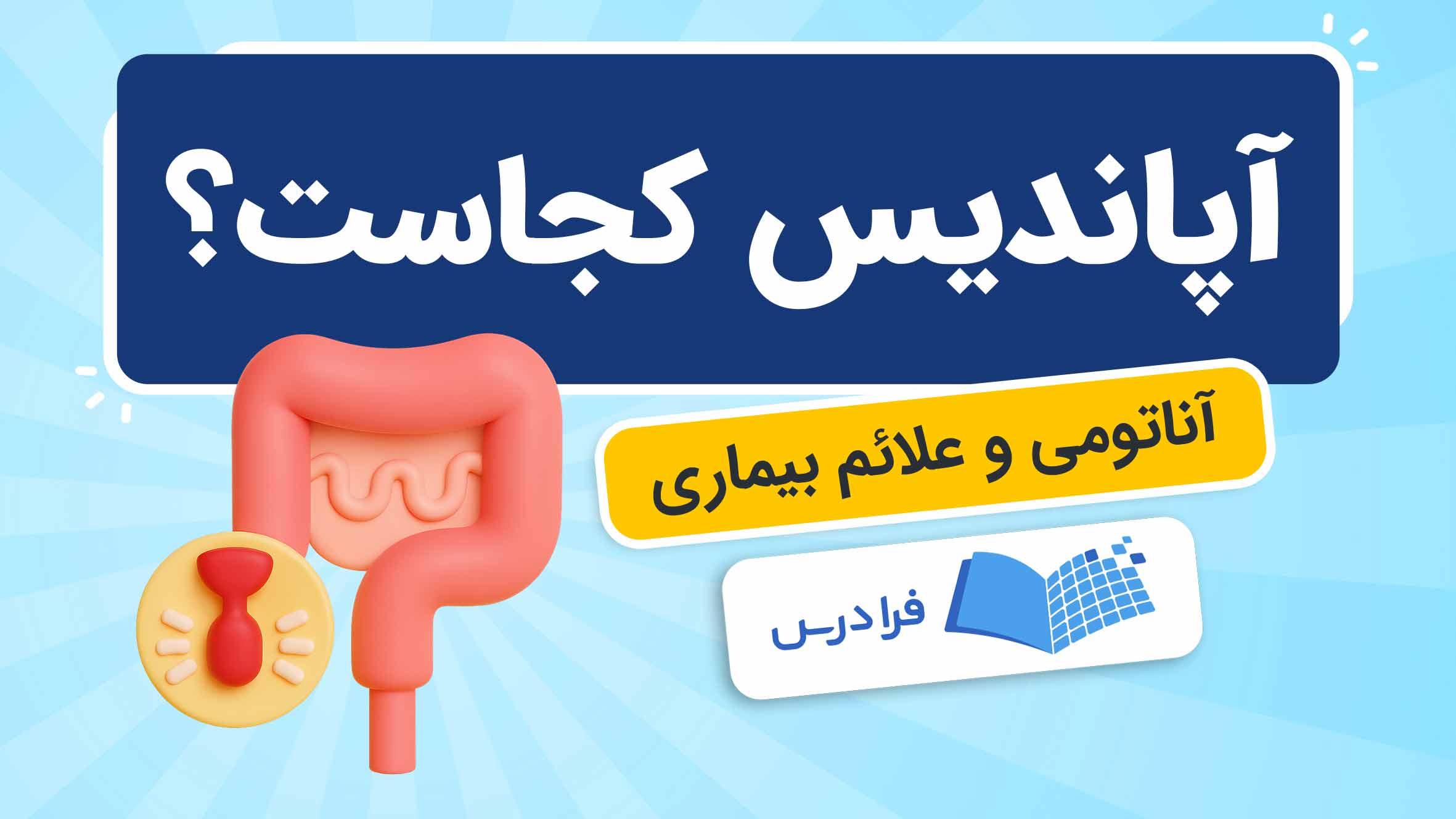 فیلم آموزش آناتومی و علائم آپاندیسیت