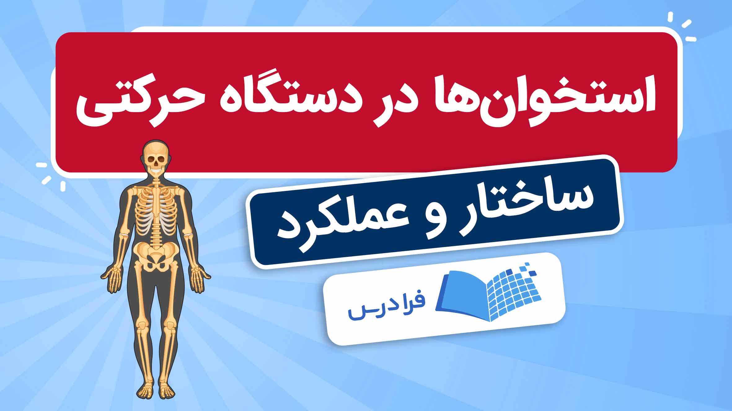 فیلم آموزش ساختار و عملکرد استخوانها در دستگاه حرکتی در فرادرس