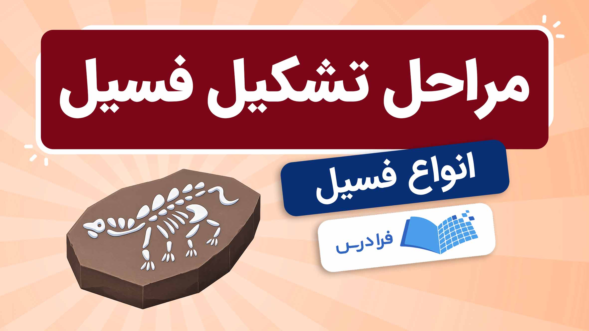 فیلم آموزش تشکیل فسیل و انواع آن