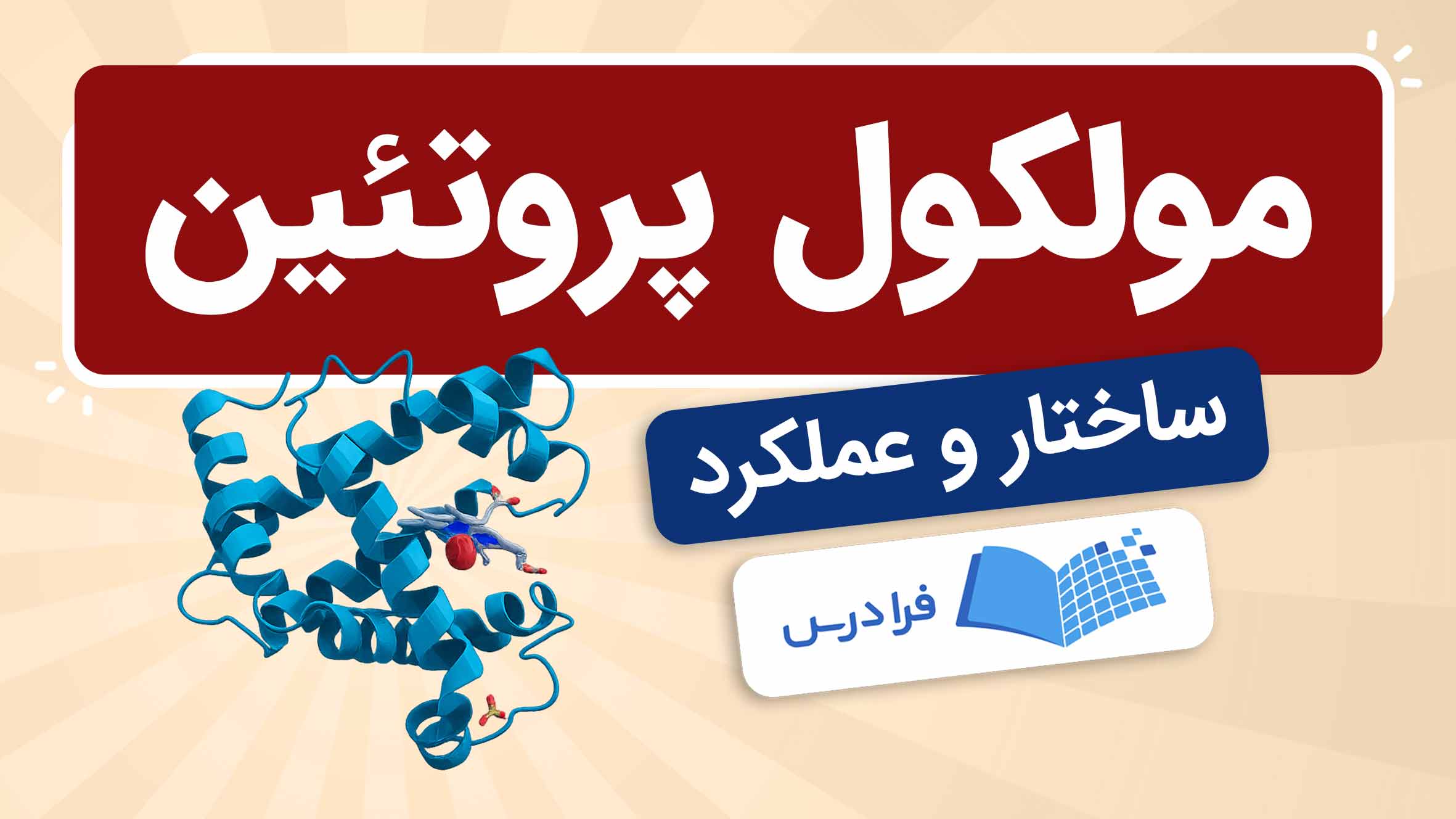 فیلم آموزش مولکول‌ پروتئین و ساختار آن
