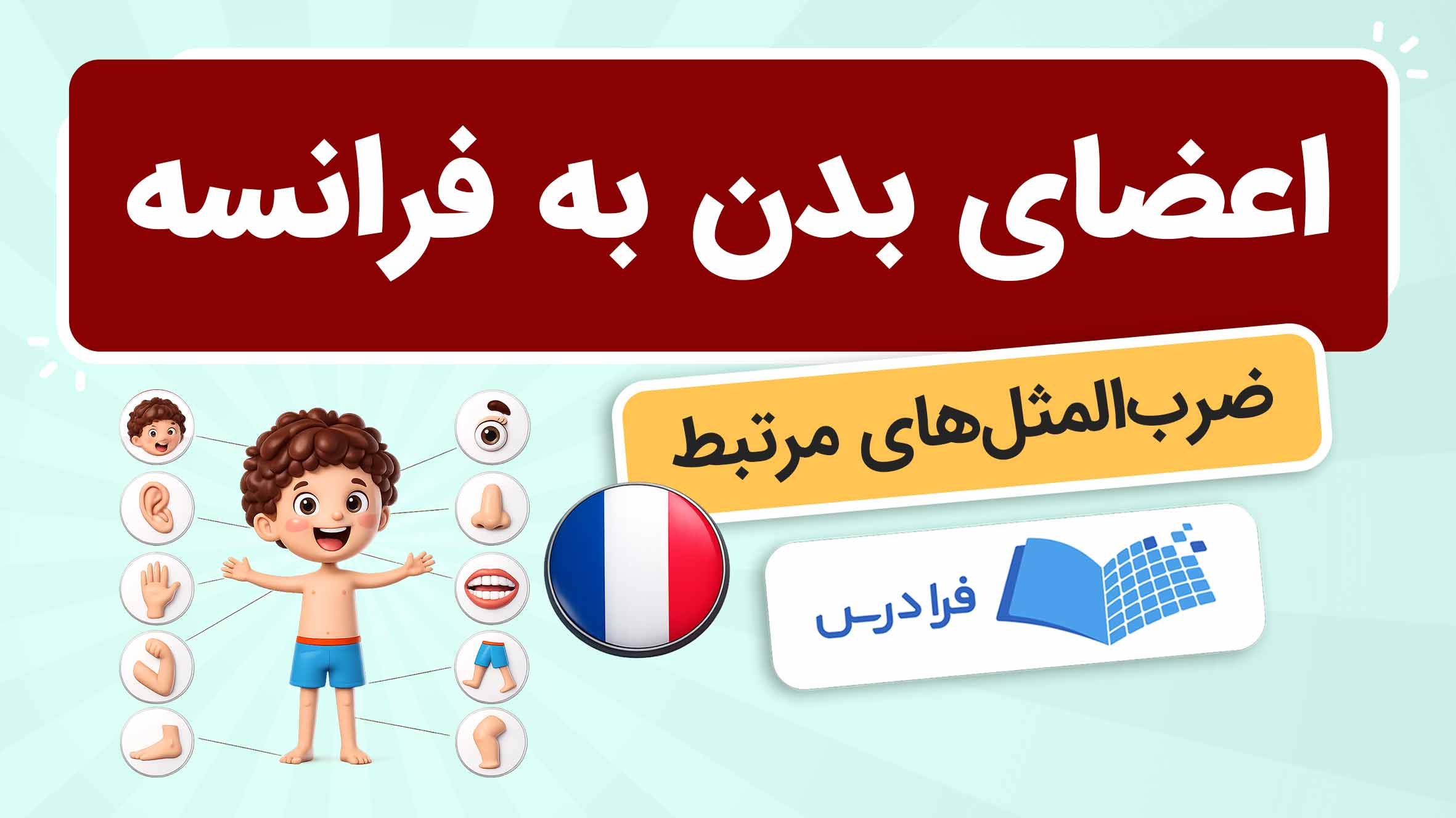 فیلم آموزش اعضای بدن به زبان فرانسه
