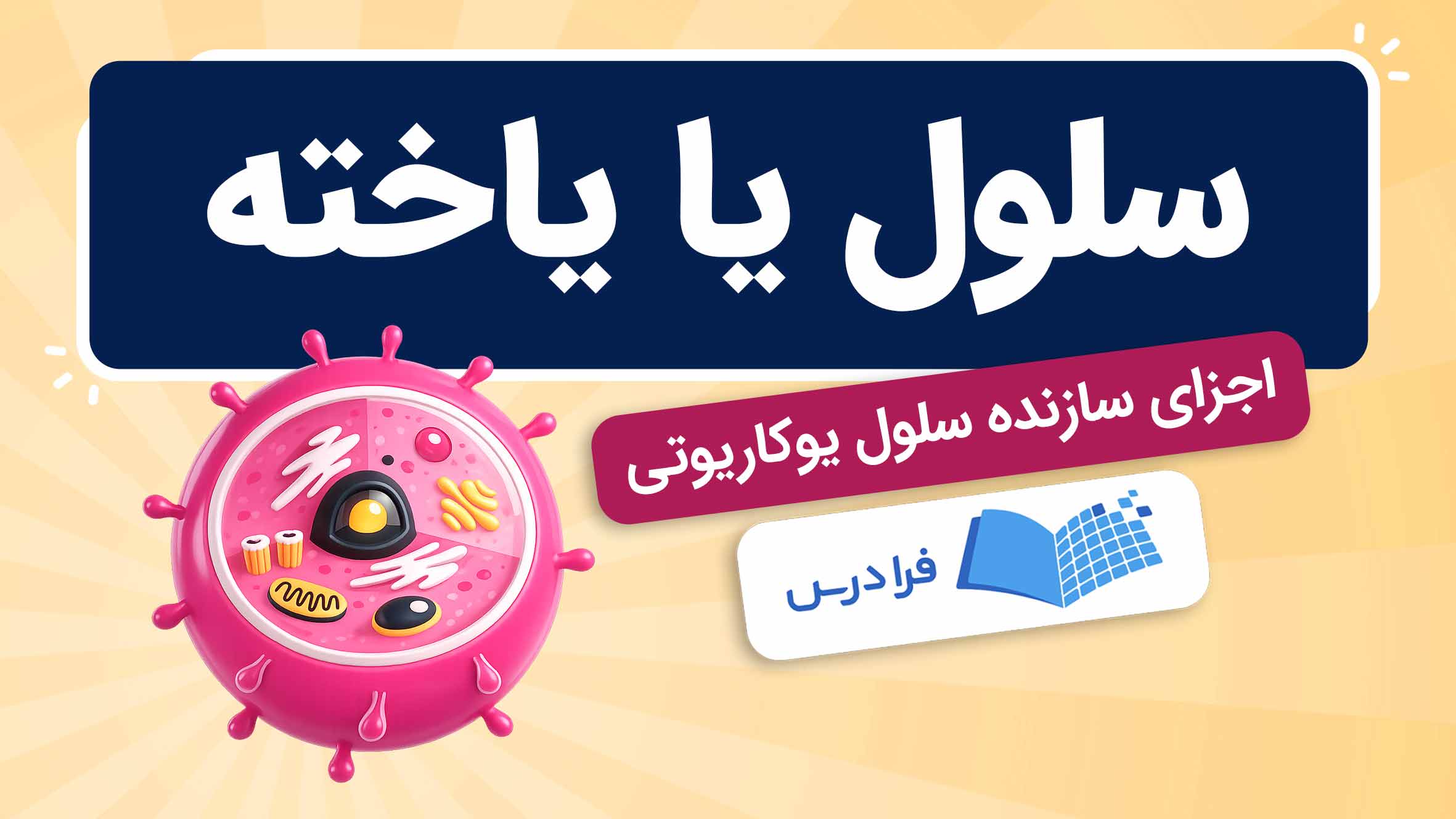 فیلم آموزش اجزای سلول یوکاریوتی در فرادرس