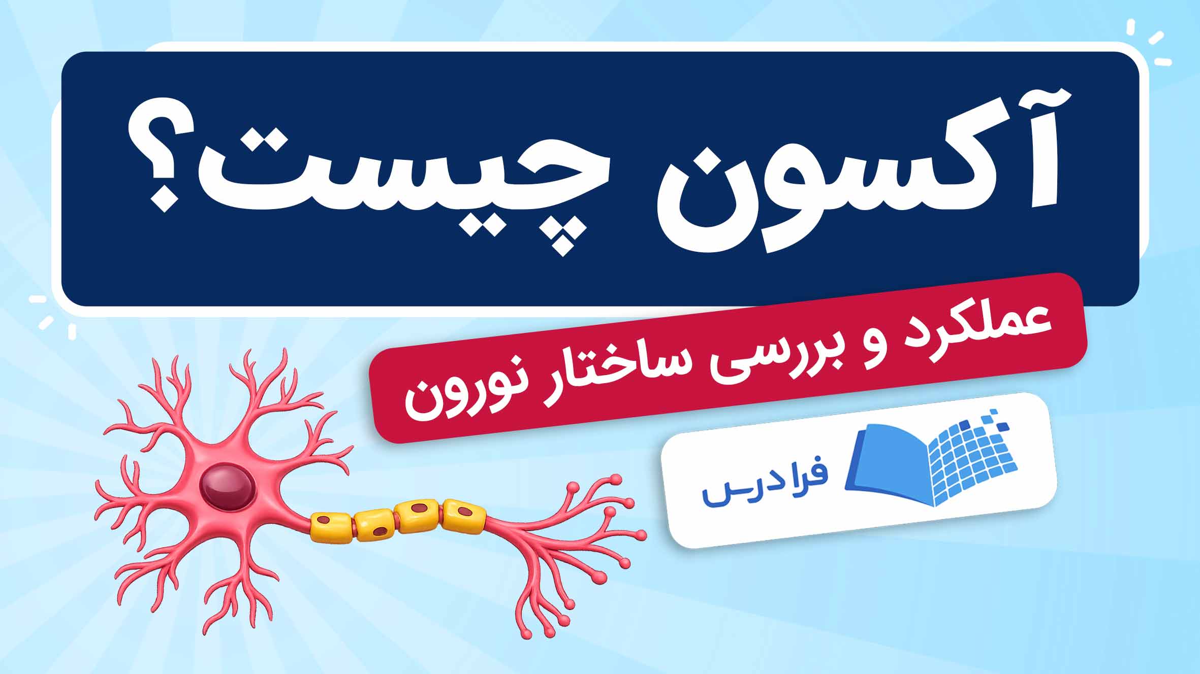 فیلم آموزش آکسون و ساختار نورون